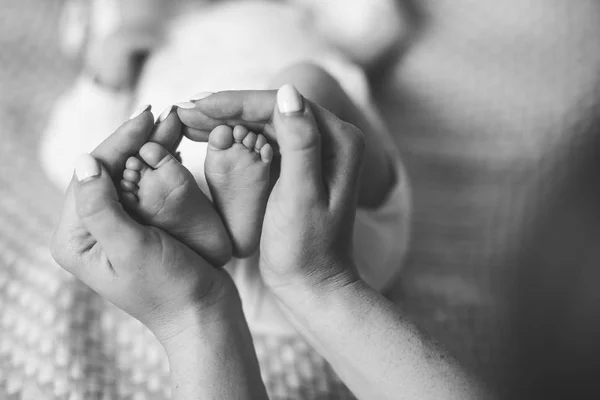 Padres sosteniendo en las manos los pies del bebé recién nacido. —  Fotos de Stock