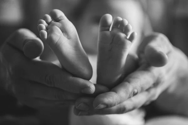 Pais segurando em mãos pés de bebê recém-nascido — Fotografia de Stock