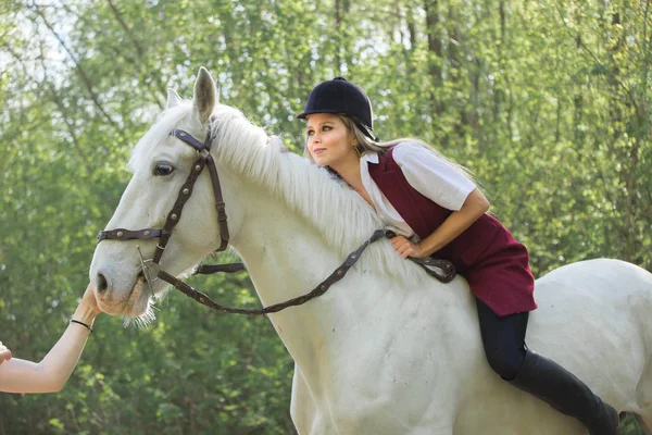 Brünette Frau reitet dunkles Pferd im sommergrünen Wald. — Stockfoto