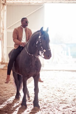 adam kırsal üzerinde kahverengi at binme