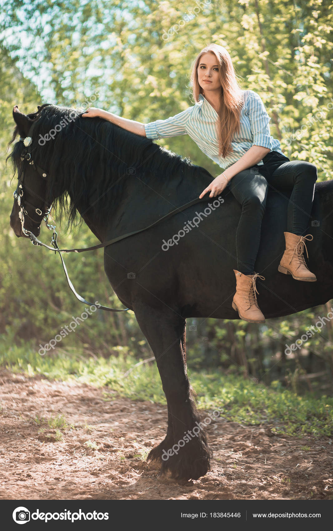 Cavalo Branco Que Sorri No Fundo Escuro Imagem de Stock - Imagem