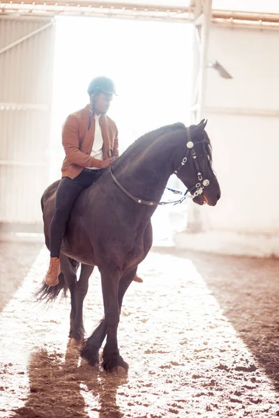 Man riding brown horse on countryside — Stock Photo, Image