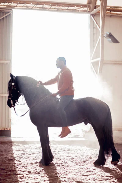 Man riding brown horse on countryside — Stock Photo, Image