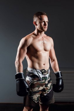 yakışıklı adam veya sağlıklı boksör ya da altı paketini giymiş boks eldivenleri ile Tay boksör