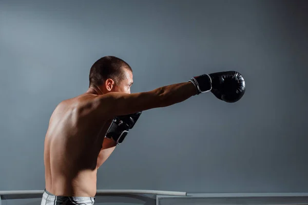 Boxer är redo att hantera ett kraftfullt slag. — Stockfoto