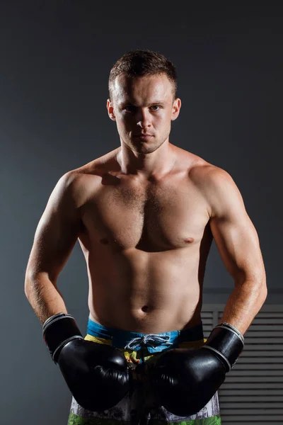 Porträtt av boxare i boxning handskar på grå bakgrund — Stockfoto