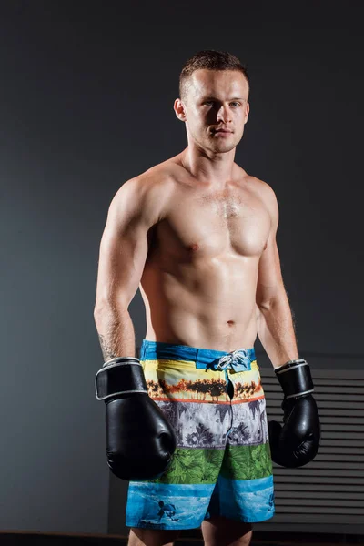 Портрет боксера в боксерських рукавичках на сірому фоні — стокове фото