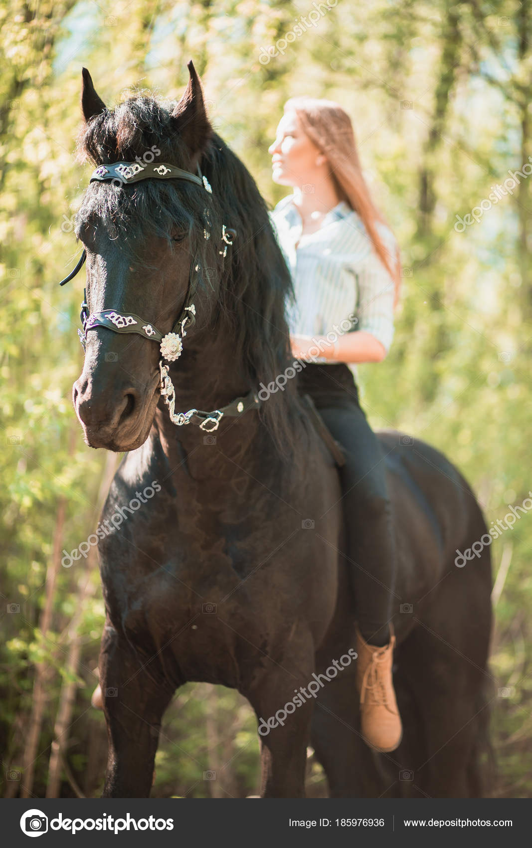 Cavalo Branco Que Sorri No Fundo Escuro Imagem de Stock - Imagem