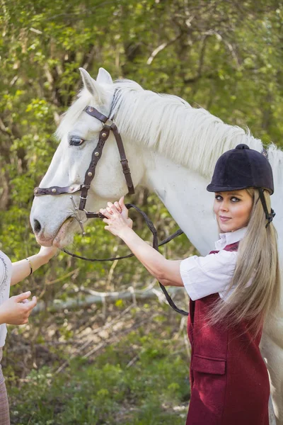 Hermosa chica morena con el pelo largo posando con un caballo rojo en el bosque —  Fotos de Stock