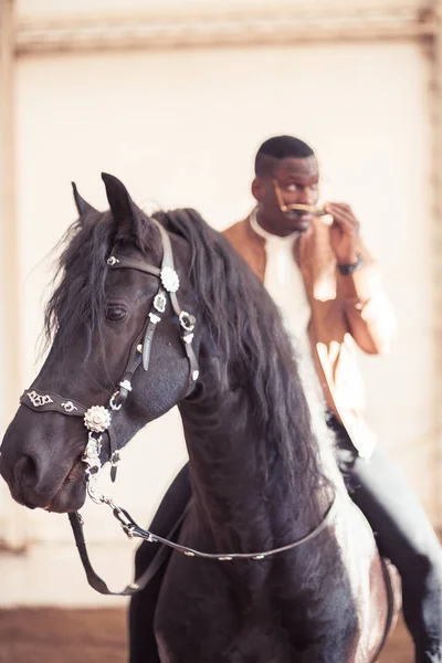 Man riding brown horse on countryside — Stock Photo, Image