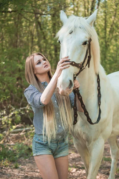 Mooi meisje strijkende paard buiten — Stockfoto