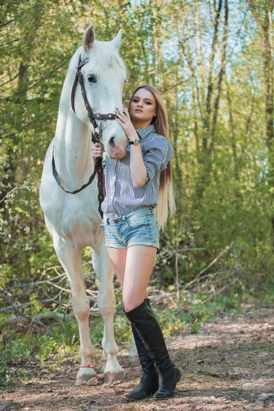 美丽的女孩抚摸马外面 — 图库照片