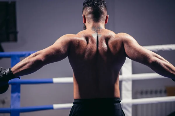 Bakifrån av manliga boxare stående tittar bort. Fit man klädd i boxning handskar — Stockfoto