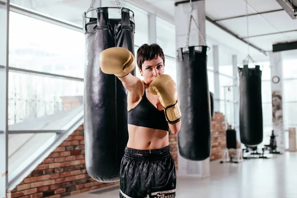 Sportswoman habile lance des chiots avec des gants de boxe — Photo