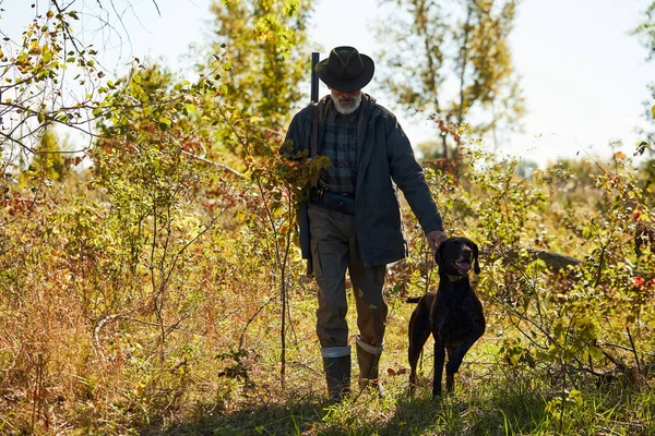 Hunter med gevär och labrador i skogen — Stockfoto