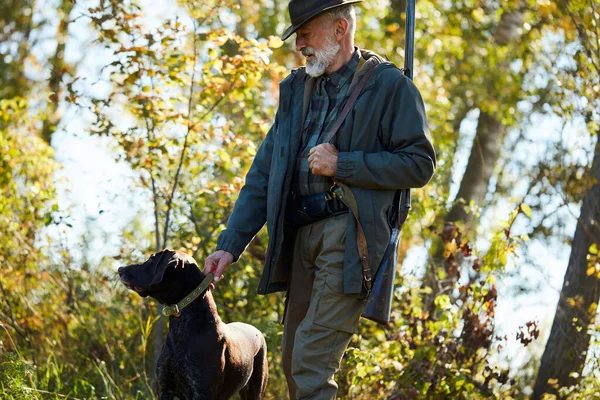 Hunter puskával és labradorral az erdőben — Stock Fotó