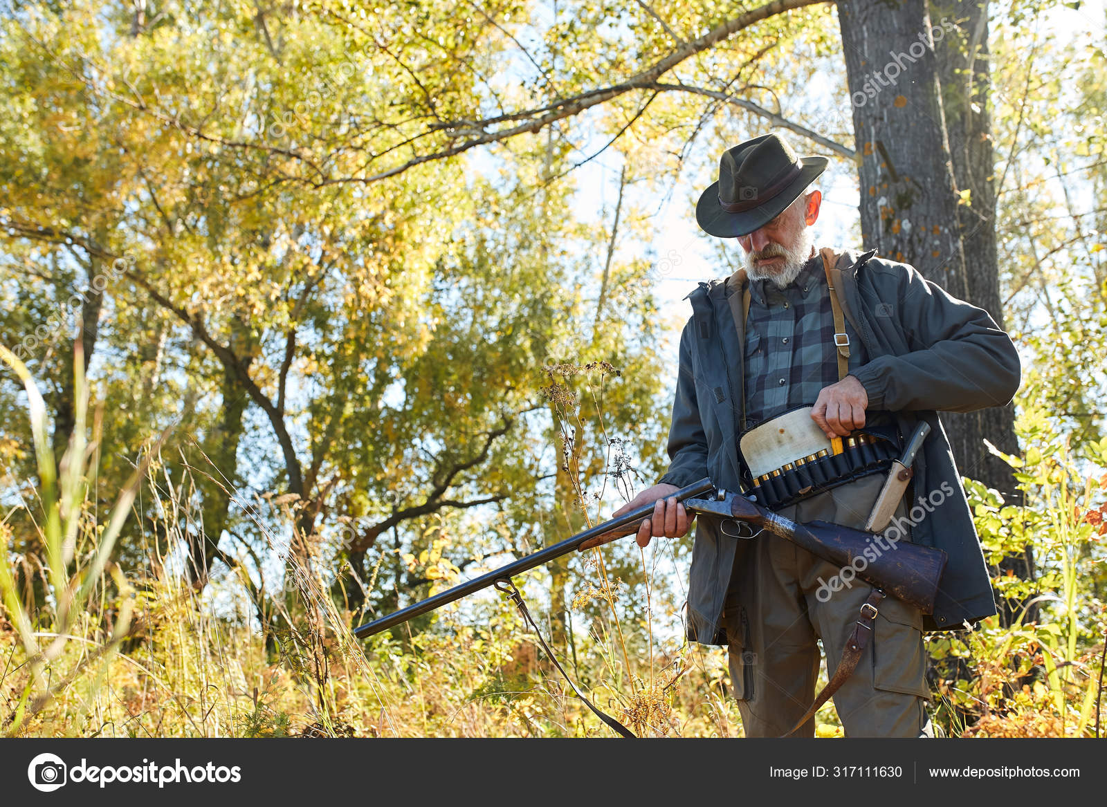 Animals hunting Stock Photos, Royalty Free Animals hunting Images | Depositphotos Animals hunting Stock Photos, Royalty Free Animals hunting Images | Depositphotos