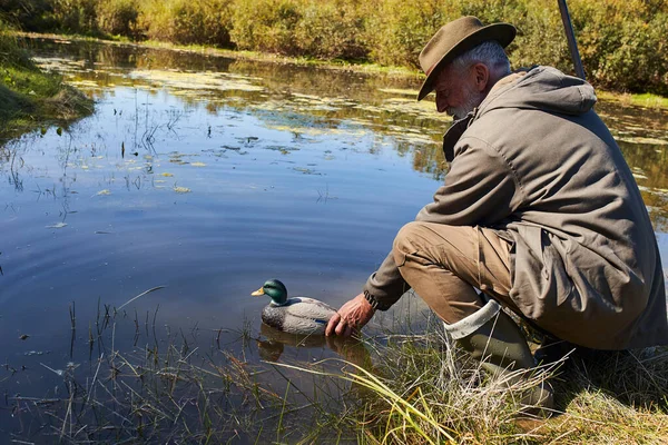 Старший мисливець спіймав качку на озері і дозволив йому піти — стокове фото