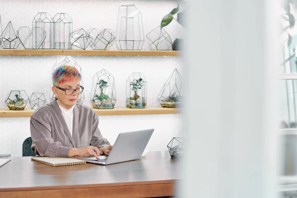 Ernst reif business lady tippen auf laptop — Stockfoto