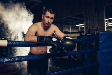 Genç Kafkas kickboksör ringde egzersiz yapıyor.