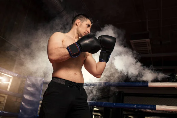 Portré fiatal harcos férfi ringben — Stock Fotó