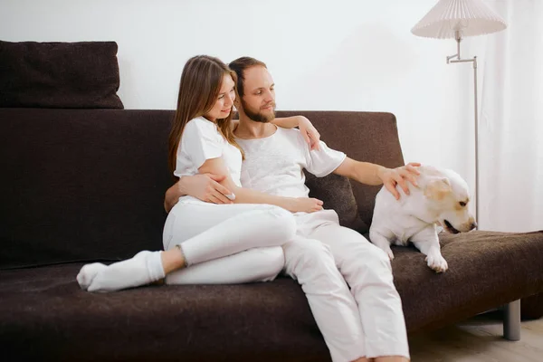 Adorável casal caucasiano sentar no sofá com cão — Fotografia de Stock