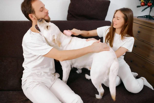 Jovem casal caucasiano jogar wiith cão de estimação no sofá em casa — Fotografia de Stock