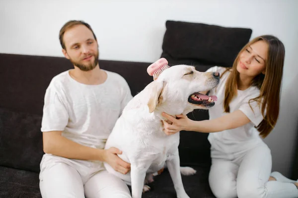 可愛いです白人カップル座っていますソファに犬と一緒に — ストック写真