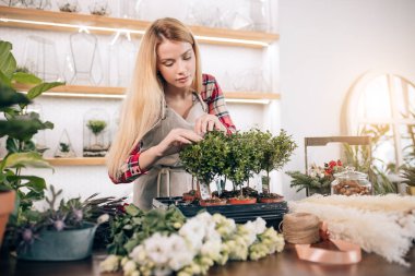 Çiçekçide çiçeklerle ilgilenen bayan çiçekçi.