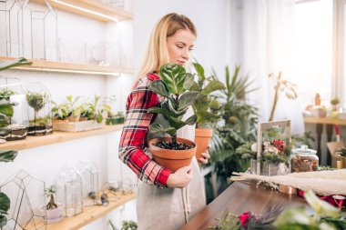 charming female florist at work