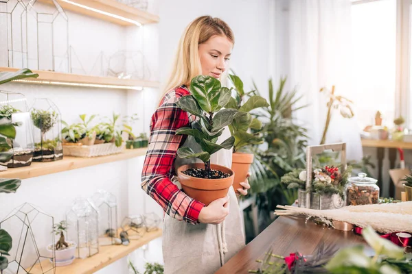 Charming female florist at work — Stockfoto