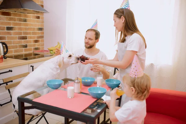 Φιλική χαρούμενη οικογένεια κάθονται γιορτάζει τα γενέθλια στο σπίτι με το σκυλί — Φωτογραφία Αρχείου