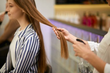 Profesyonel saç stilisti genç beyaz kıza saç modeli yapıyor.