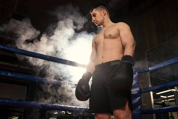 Adulto kickboxer homem em luvas de boxe — Fotografia de Stock