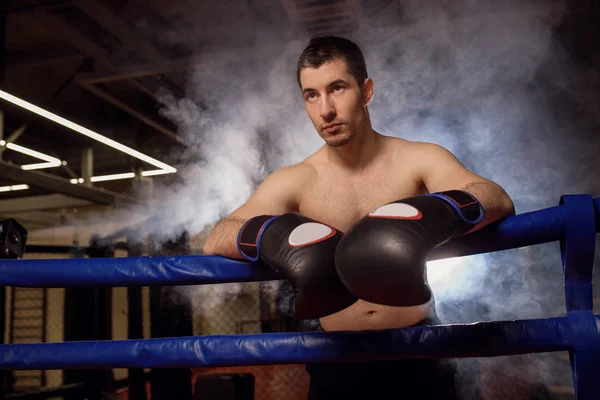 Professional boxer in ring — ストック写真