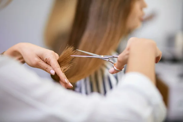 Primo piano di mani di parrucchiere che tagliano capelli femminili lunghi — Foto Stock