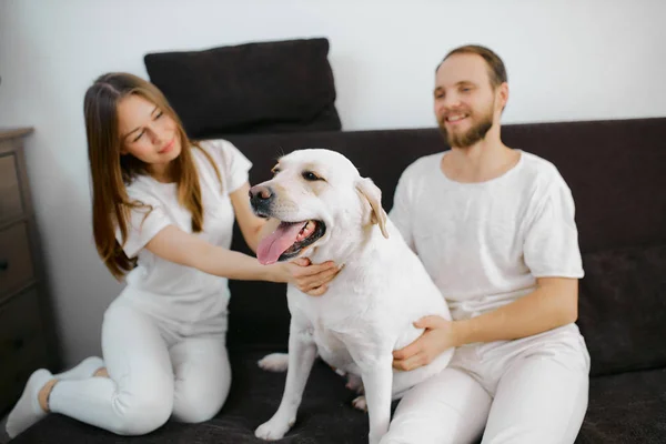 Весёлая пара играет с собакой на диване дома — стоковое фото