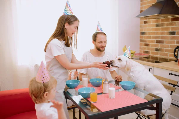 Friendly cheerful family sit celebrating birthday at home with dog — Stok fotoğraf