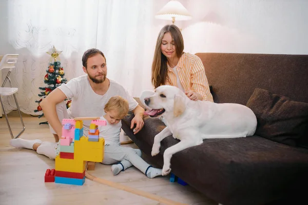 Família positiva amigável ter animal de estimação em casa — Fotografia de Stock
