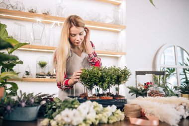 Çiçekçi kadın, küçük işletme sahibi taze çiçeklerini, bitkilerini ve stoklarını kontrol ediyor.