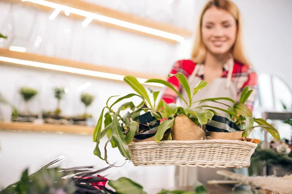 Retrato de una florista sonriente — Foto de Stock