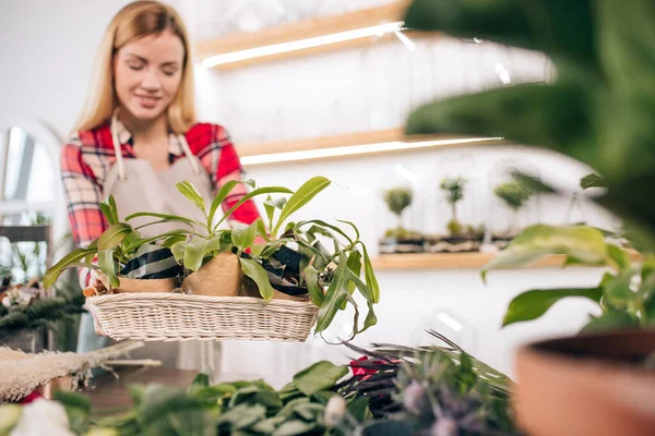 Florista de la mujer, dueño de la pequeña empresa que comprueba sus flores frescas, las existencias de plantas y el inventario — Foto de Stock