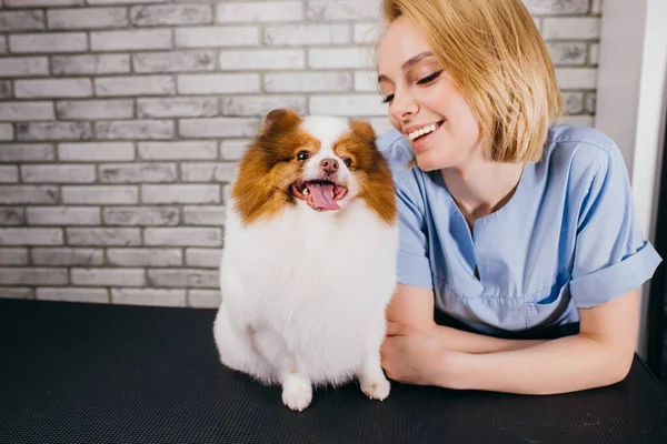 Positivo caucasico femmina groomer amore lavorare con animali domestici — Foto Stock