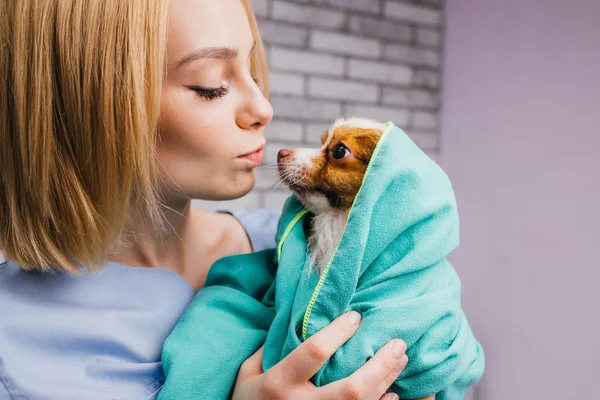 Pet groomer godere il suo lavoro — Foto Stock