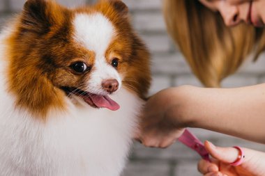 Kuaförde saç kesimi