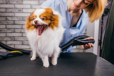 Güzeller güzeli kuaför kuaförü