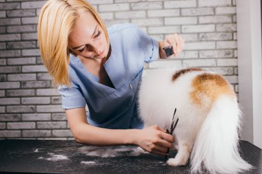 Tımarcı küçük tükürük ile dikkatlice halleder.