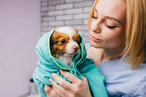 Carino caucasico signora groomer godere il suo lavoro — Foto Stock