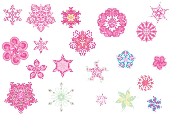 Formes florissantes de fleurs Rosa — Image vectorielle