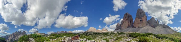 全景的三峰 著名的白云岩山地标 与土拨鼠 — 图库照片#